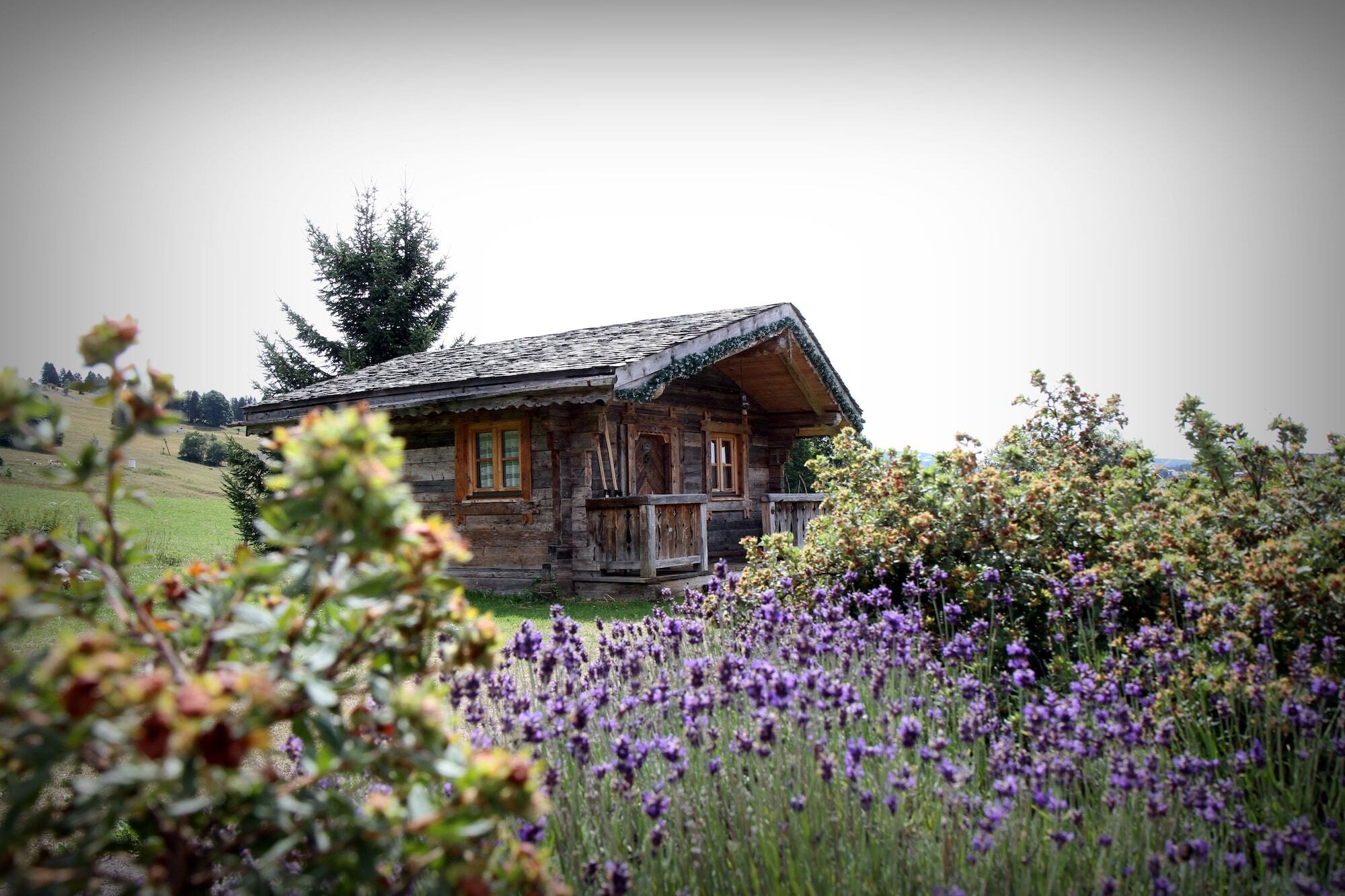 Le Manoir Des Montagnes Hotel